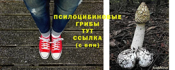 героин Бородино