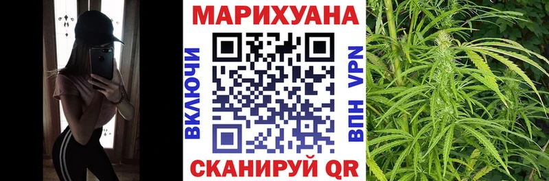 Купить где Гагарин Конопля THC 21%